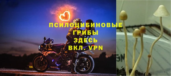 кокс Протвино