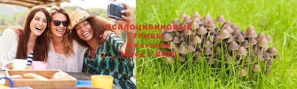 кокс Протвино
